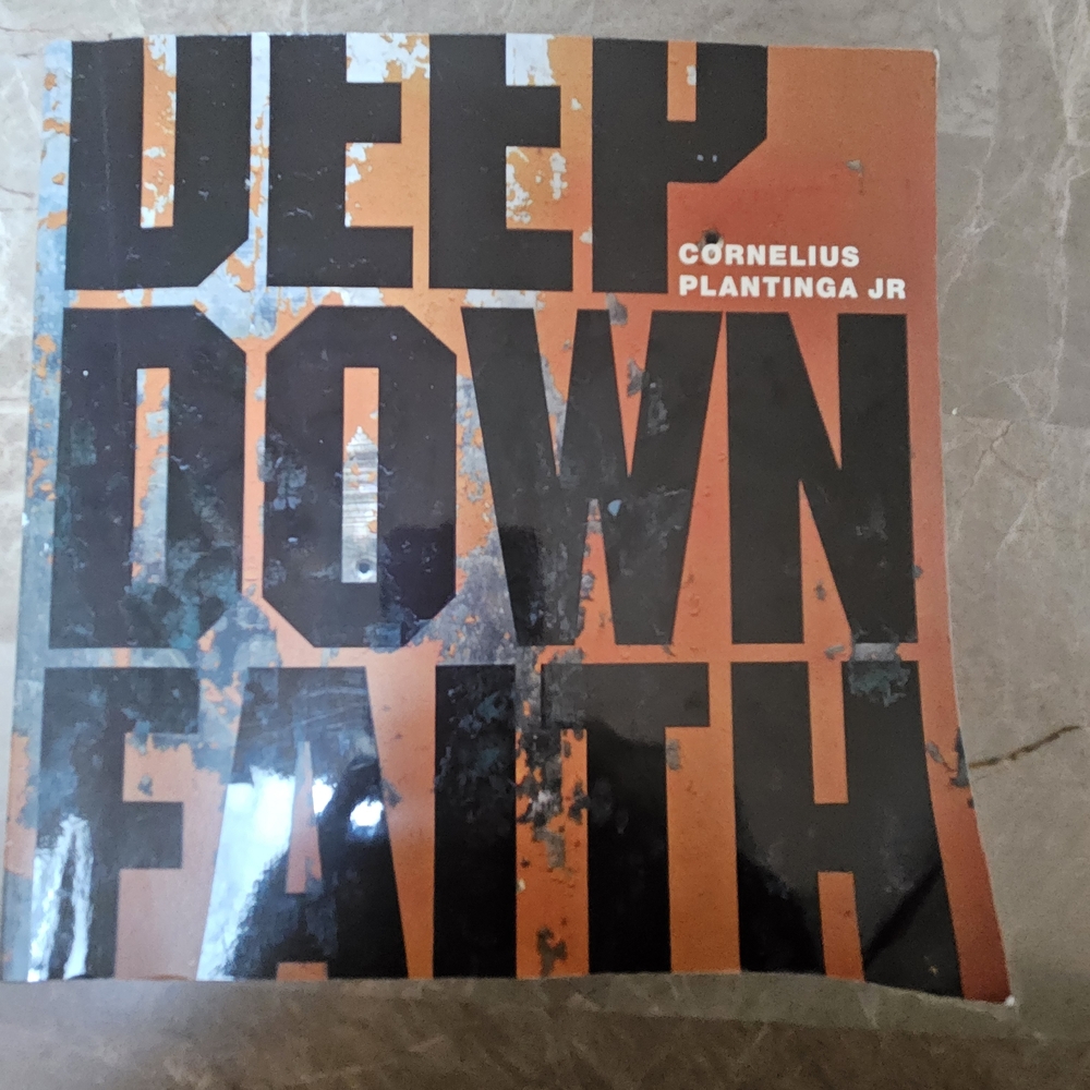 Deep Down Faith Book By Coenelius Plantinga Jr Hihh School Theology Book